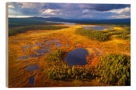 Cuadro de madera Lapland in the light - Dave Derbis