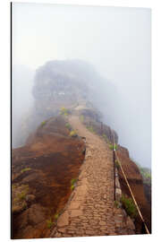 Cuadro de aluminio Areeiro Peak - Dave Derbis