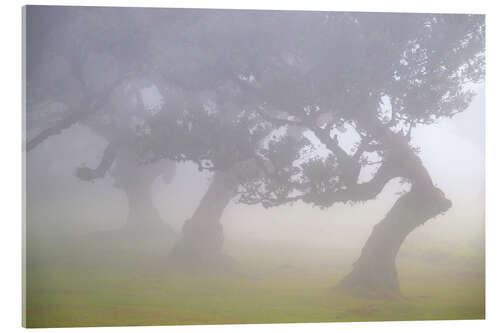 Obraz na szkle akrylowym Dancers in the Fog