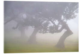 Obraz na szkle akrylowym Dancers in the Fog - Dave Derbis
