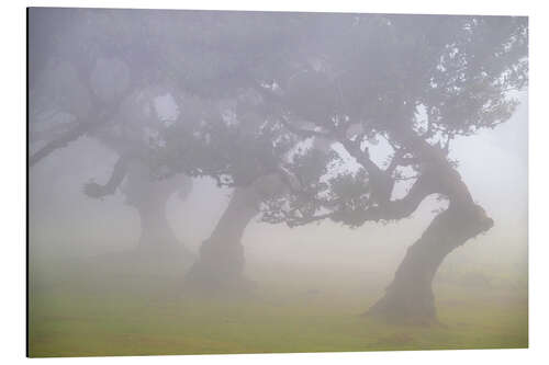 Quadro em alumínio Dancers in the Fog