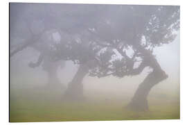 Tableau en aluminium Dancers in the Fog - Dave Derbis