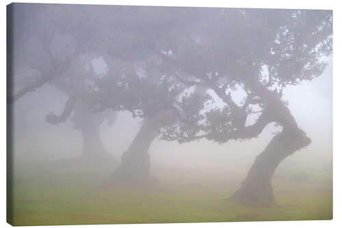 Stampa su tela Dancers in the Fog