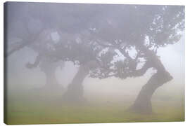 Stampa su tela Dancers in the Fog - Dave Derbis