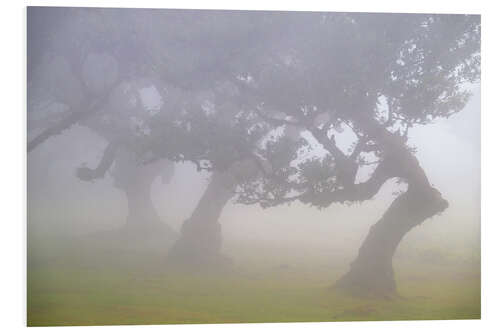 Foam board print Dancers in the Fog