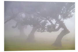 Obraz na PCV Dancers in the Fog - Dave Derbis