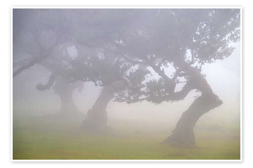 Póster Dancers in the Fog