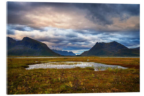 Acrylic print Gimsøy, Lofoten
