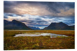 Acrylic print Gimsøy, Lofoten - Dave Derbis