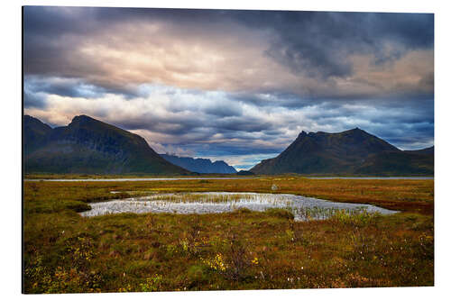 Tableau en aluminium Gimsøy, Lofoten