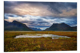 Tableau en aluminium Gimsøy, Lofoten - Dave Derbis