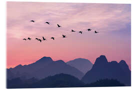 Acrylic print Bird Flight Over the Mountains