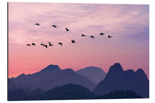 Aluminium print Bird Flight Over the Mountains