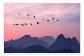 Billede Bird Flight Over the Mountains