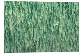 Quadro em alumínio Fern Wall