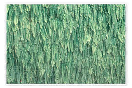 Kunstwerk Fern Wall