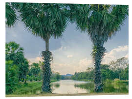 Obraz na szkle akrylowym Palmyra Palms With Lake View, Thailand