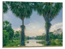 Aluminium print Palmyra Palms With Lake View, Thailand