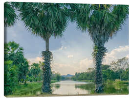 Quadro em tela Palmyra Palms With Lake View, Thailand