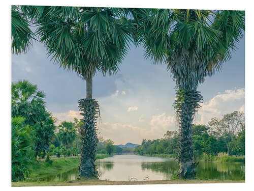 Foam board print Palmyra Palms With Lake View, Thailand