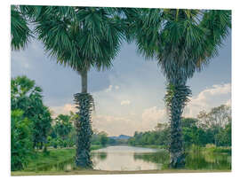 Foam board print Palmyra Palms With Lake View, Thailand