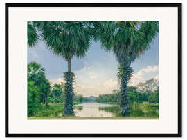 Framed art print Palmyra Palms With Lake View, Thailand
