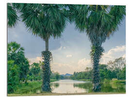 Gallery print Palmyra Palms With Lake View, Thailand