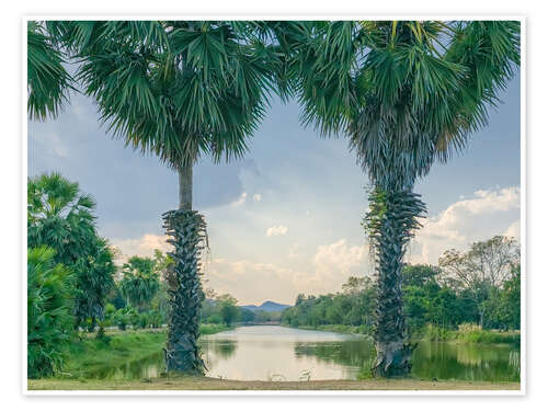 Póster Palmyra Palms With Lake View, Thailand