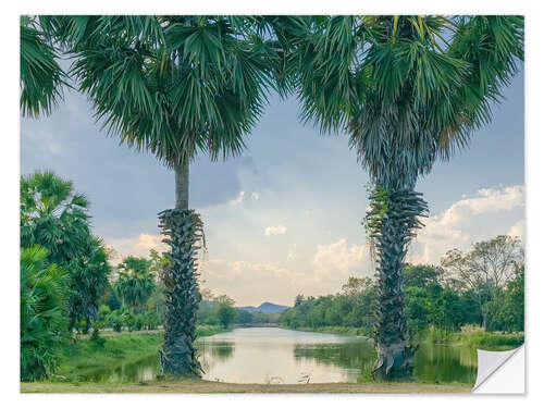 Självhäftande poster Palmyra Palms With Lake View, Thailand