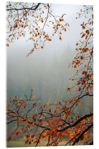 Acrylic print Autumn Mood