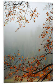 Aluminium print Autumn Mood