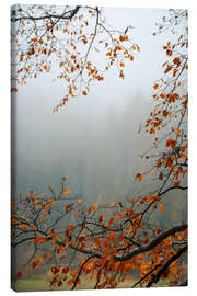 Lienzo Autumn Mood