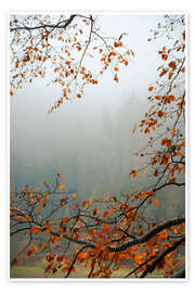Wall print Autumn Mood