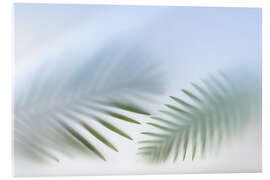 Obraz na szkle akrylowym Tender Palm Leaves