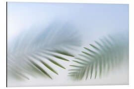 Aluminium print Tender Palm Leaves