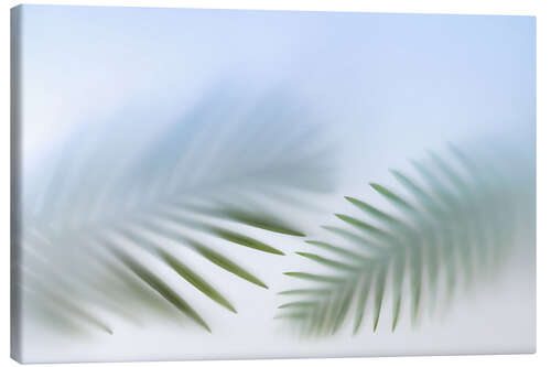 Canvas print Tender Palm Leaves