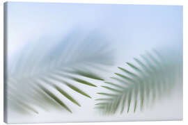 Canvas print Tender Palm Leaves