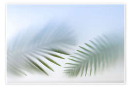 Obraz Tender Palm Leaves