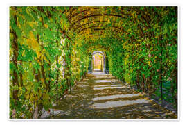 Reprodução Green Romantic Arcade