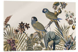 Cuadro de metacrilato Jungle Vibes Parrots Island - Andrea Haase