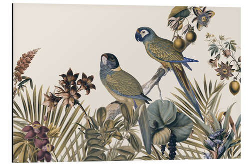 Aluminium print Jungle Vibes Parrots Island