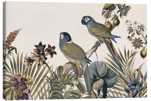 Canvas print Jungle Vibes Parrots Island