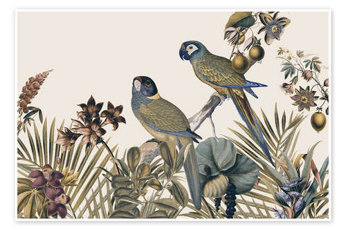 Poster Jungle Vibes Parrots Island