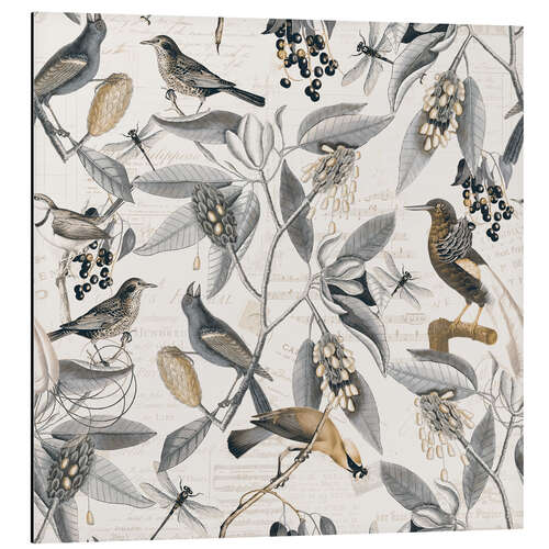 Aluminium print Nostalgic Magnolia Birds