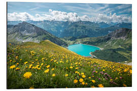 Aluminium print Spullersee in summer - Lucas Tiefenthaler