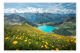 Poster Spullersee in summer - Lucas Tiefenthaler