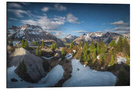 Tableau en aluminium Spring in Lech with a view of Biberkopf - Lucas Tiefenthaler