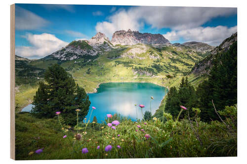 Tableau en bois Formarinsee with Rote Wand in summer