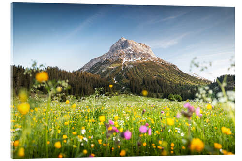 Stampa su vetro acrilico Omeshorn in Lech with flowers