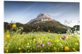 Acrylglasbild Omeshorn in Lech mit Blumen - Lucas Tiefenthaler